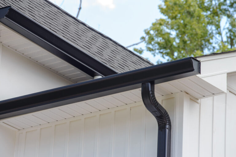 gutter cleaning in lakeland fl